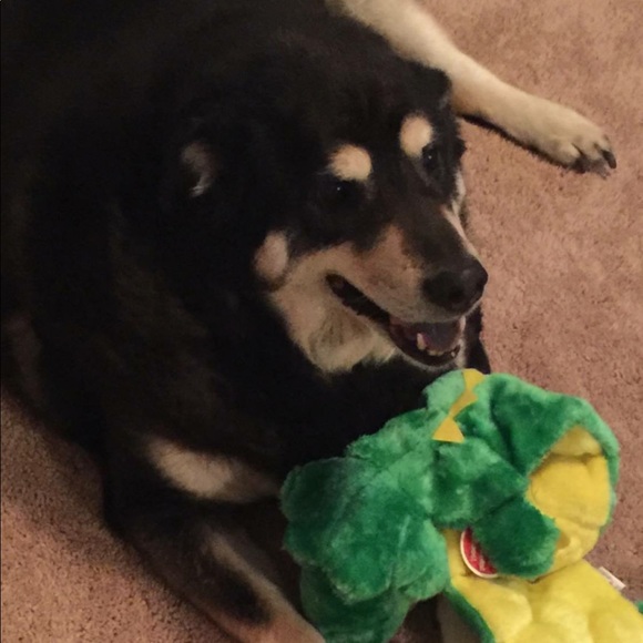 Thank you for visiting! Please come back! Jasna. - Picture 8 of 9